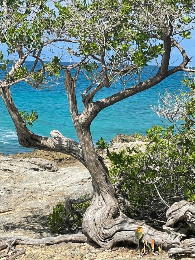 Cote Plage Saint-Francois  Eksteriør billede